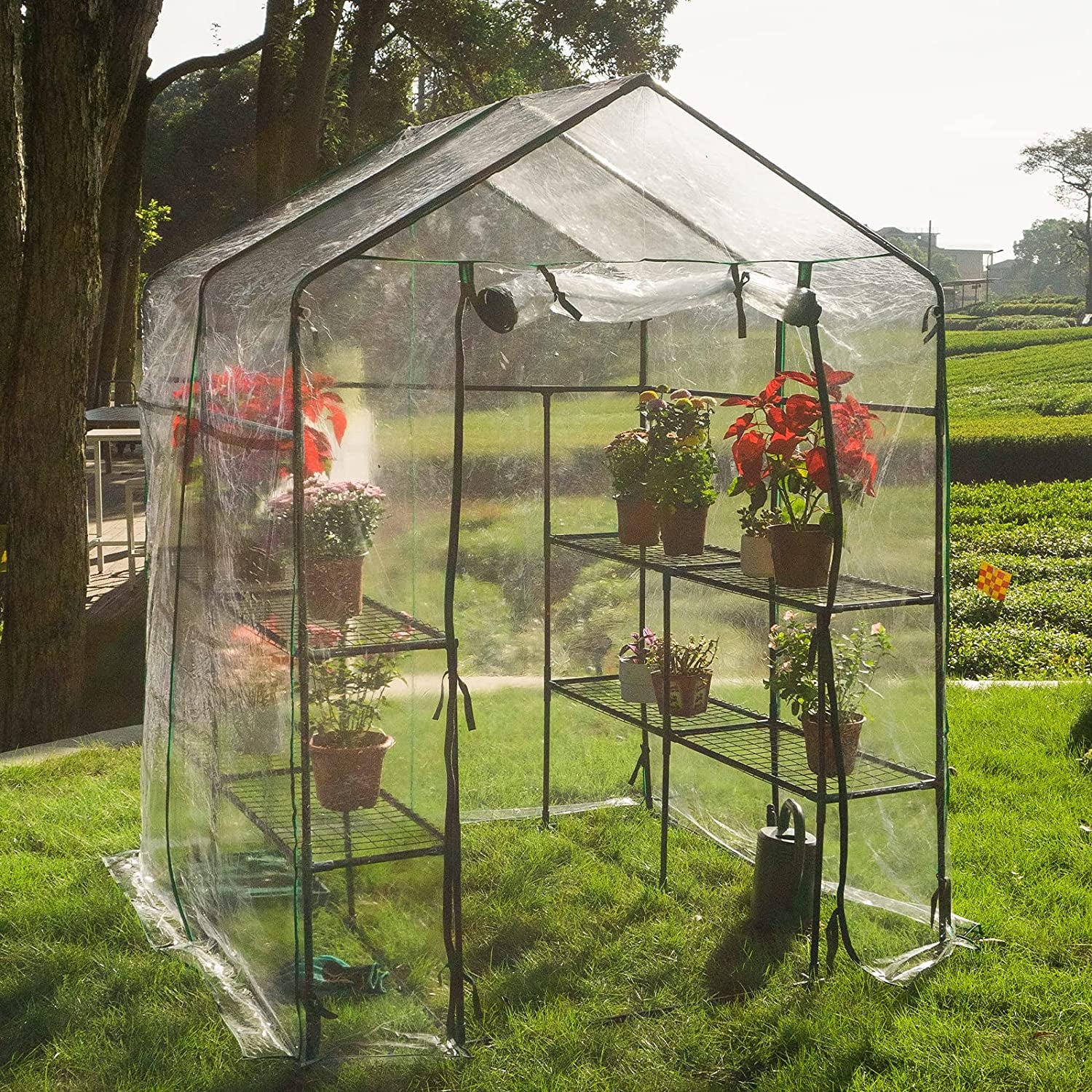 Portable Greenhouse